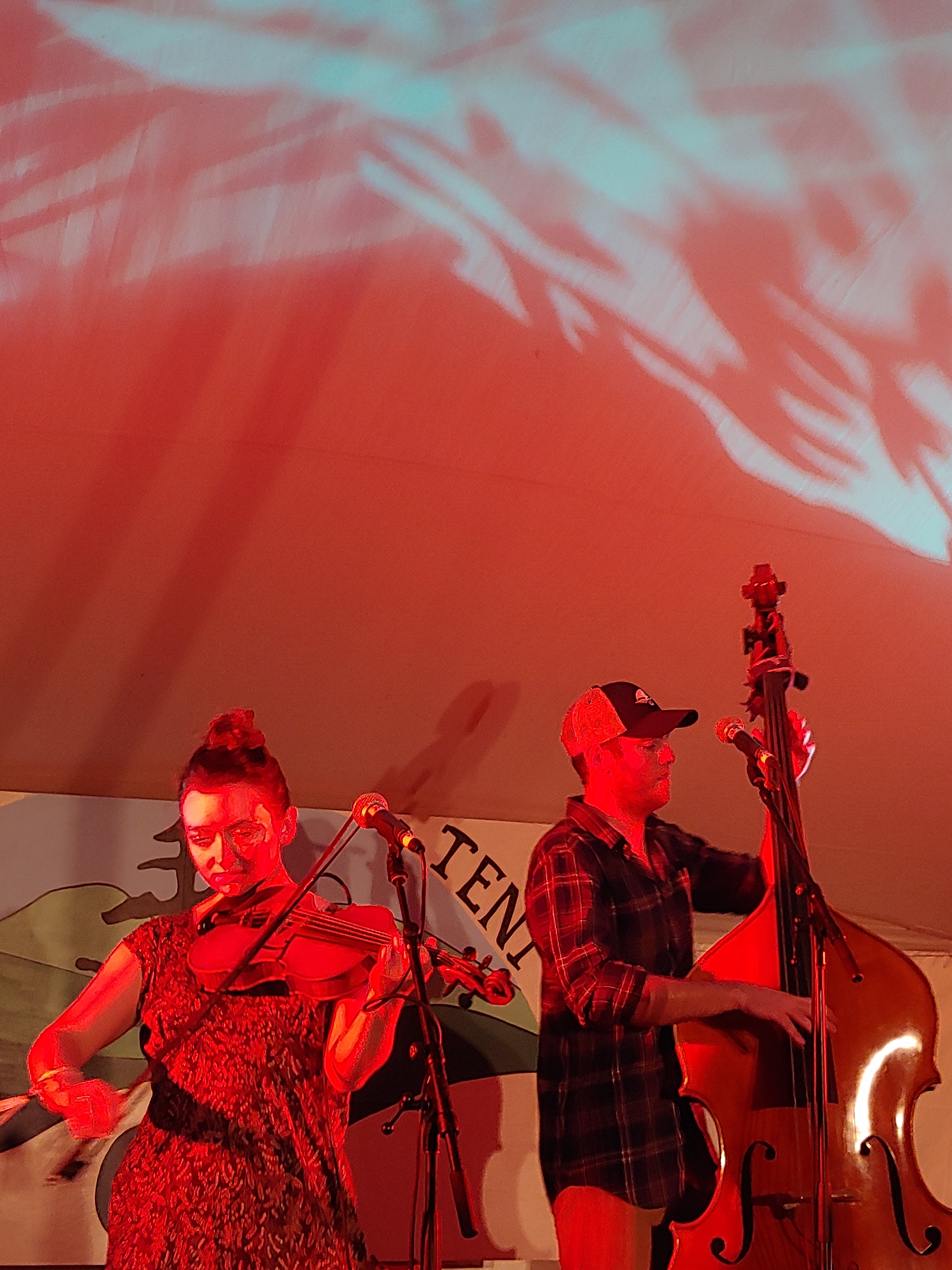 TwistedPine2018-08-16GreenMountainBluegrassAndRootsFestivalManchesterVT (5).jpg
